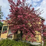 Leilighet House Near The In As -