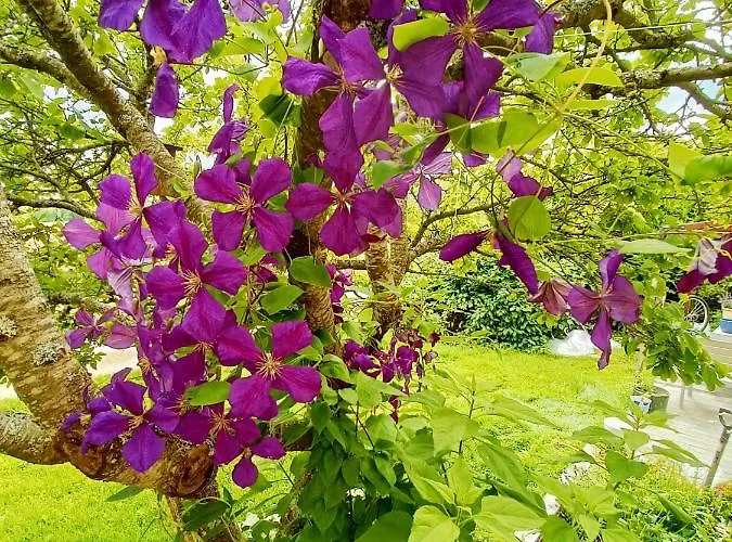 Lägenhet House Near The In As - *