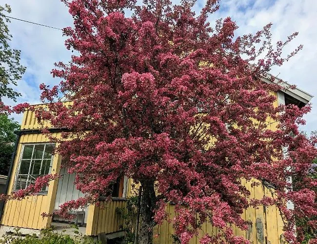 Lägenhet House Near The In As -