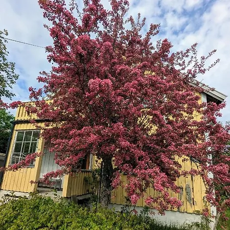 Apartman House Near The In As -